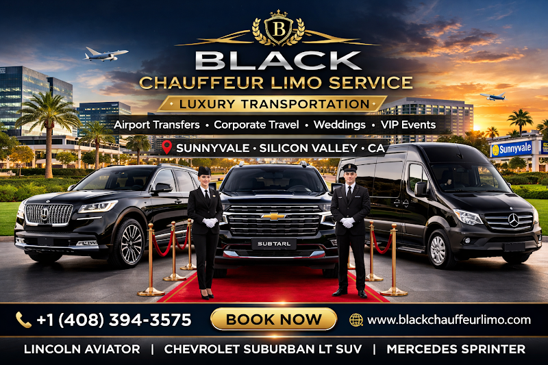 Black Chauffeur Limo Service photo 3
