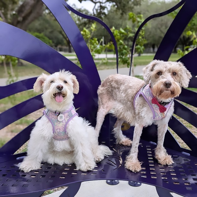 Adogable Pet Services photo 3