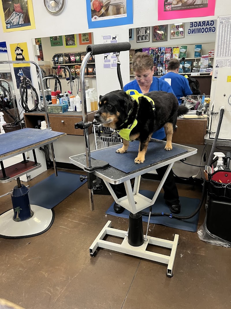 Adogable Pet Services photo 4