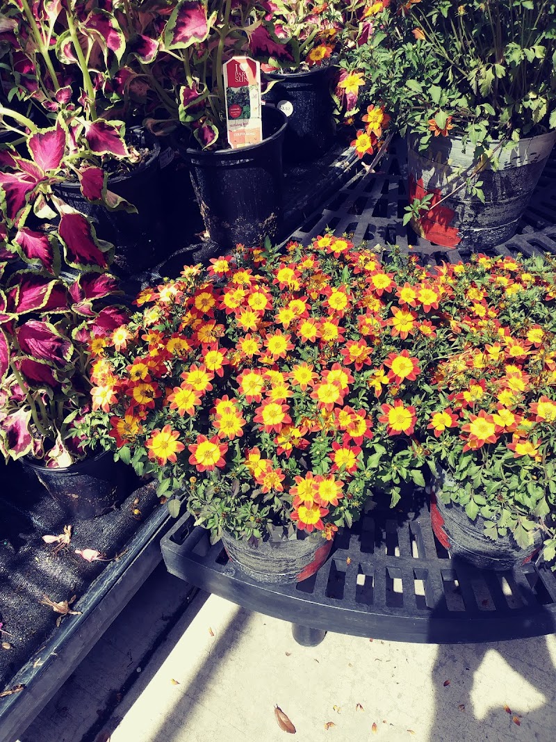 Photo of Walmart Garden Center