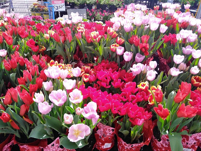 Walmart Garden Center photo 2