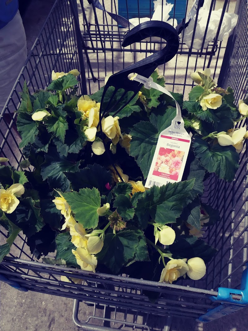 Walmart Garden Center photo 3