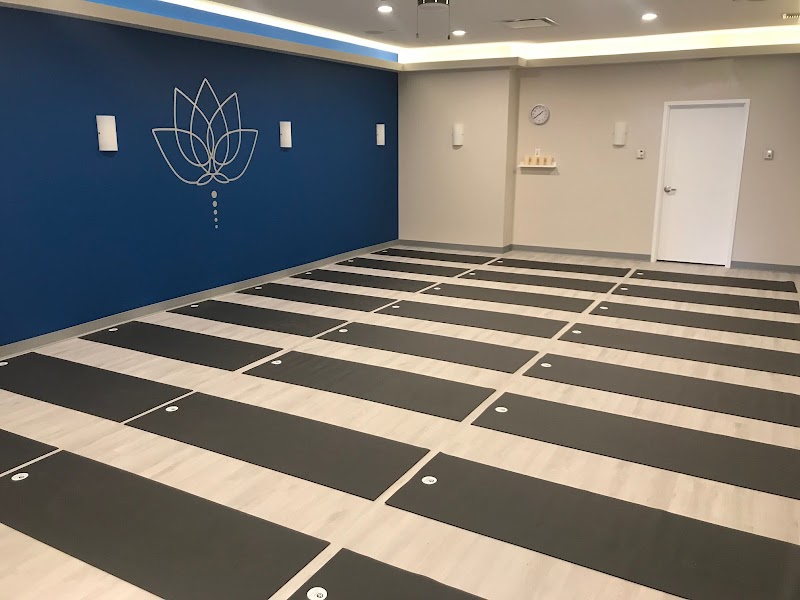 Blue Lotus Yoga Studio photo 4