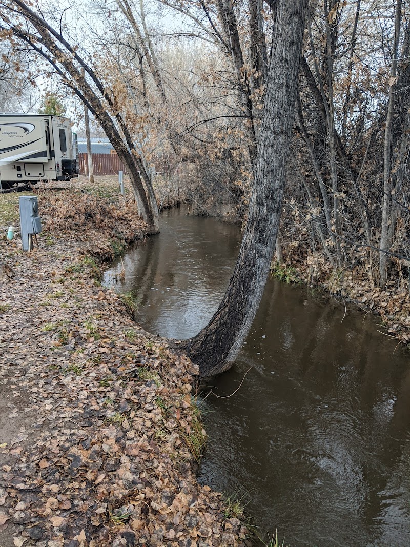 Picketts RV Park photo 4