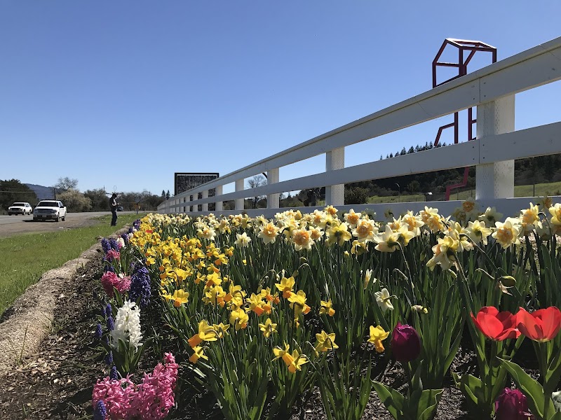 DenBeste Yard & Garden, Inc. photo 3