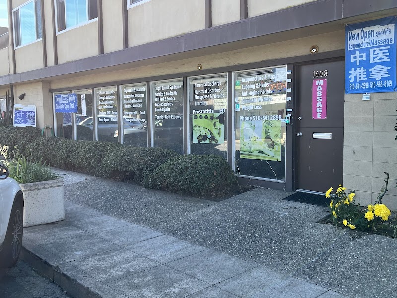 San Carlos Massage Acupuncture 针灸推拿마사지, 침술 photo 2
