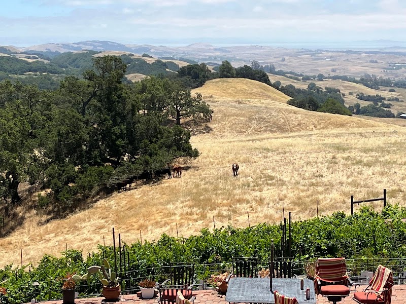Clouds Rest Vineyards photo 4