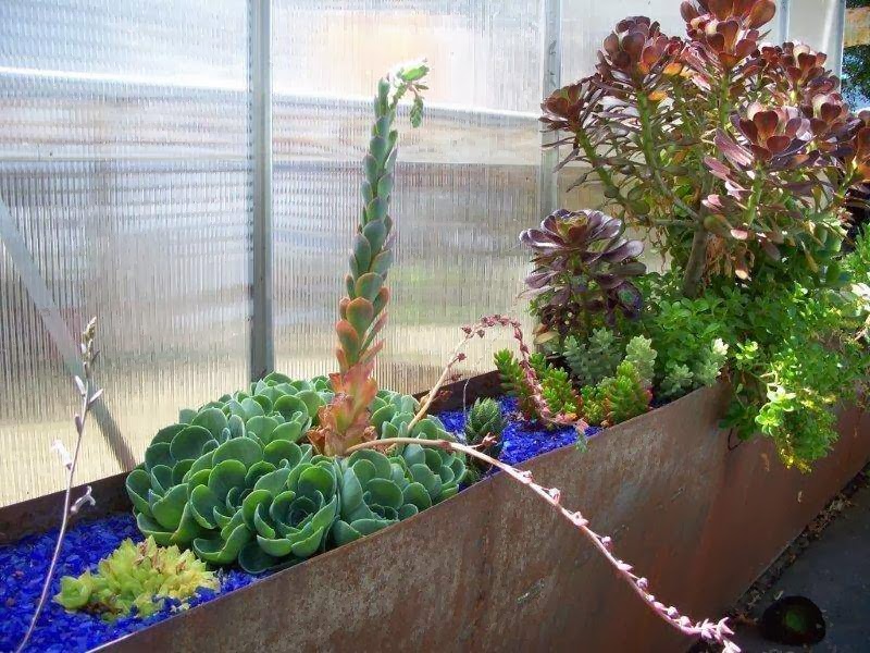 The Gardening Tutor photo 4