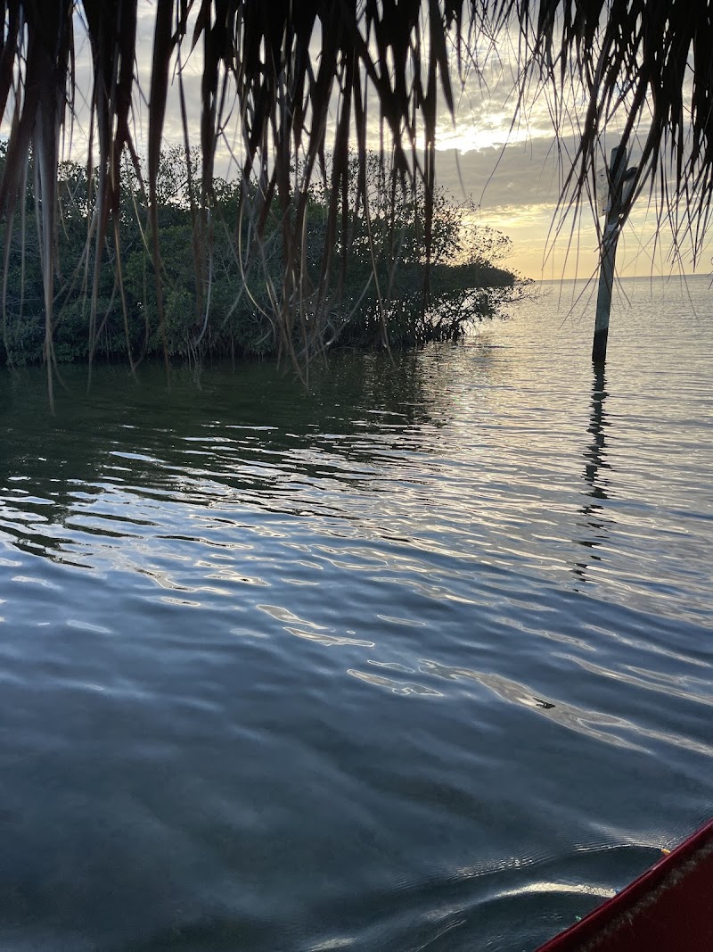 River Rat Tiki Tours photo 5