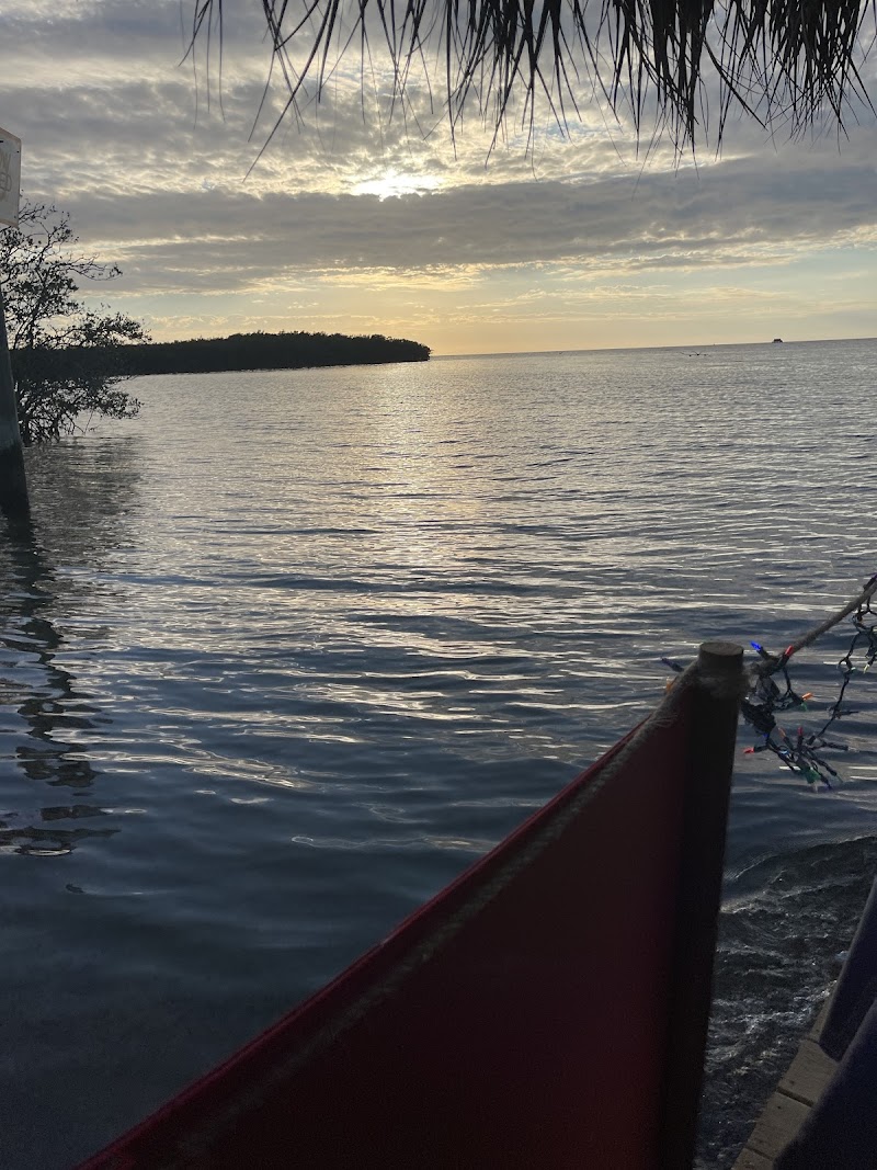 River Rat Tiki Tours photo 4