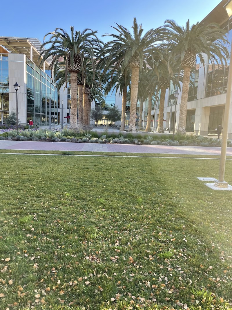 Sobrato Campus for Discovery and Innovation photo 3