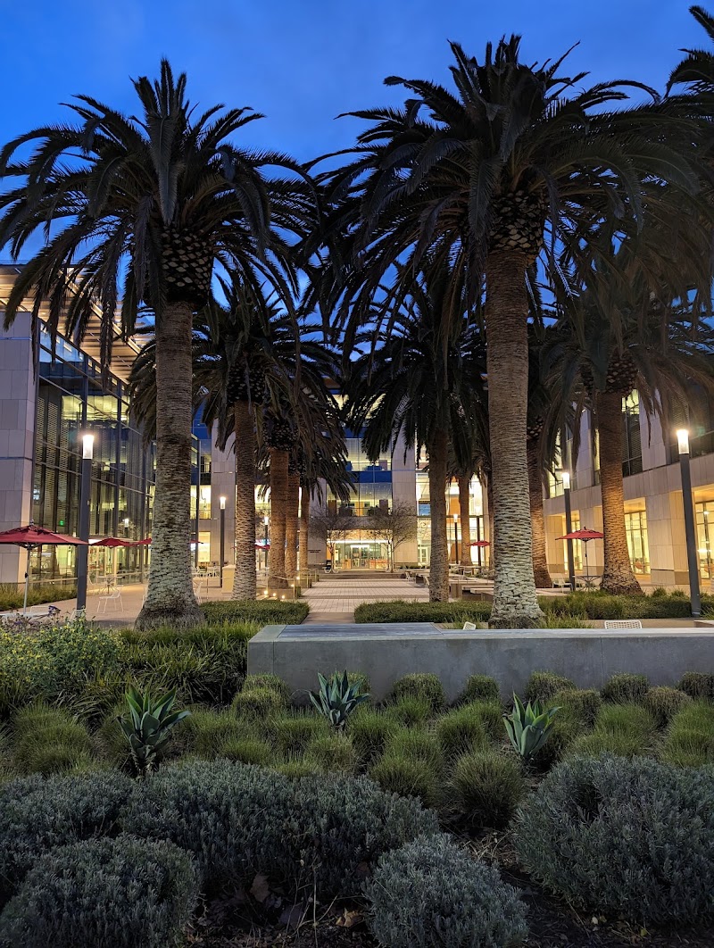 Photo of Sobrato Campus for Discovery and Innovation