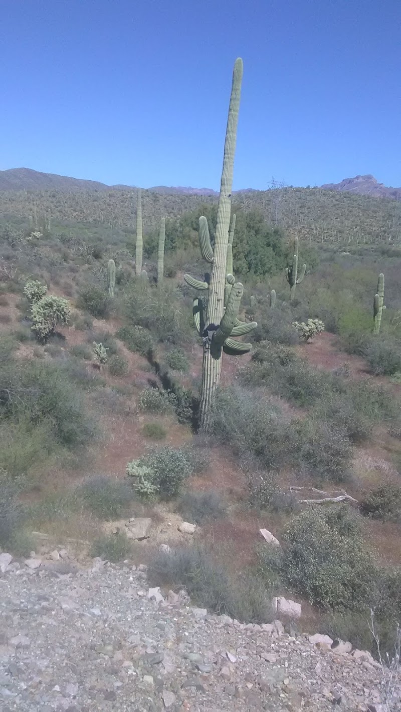Queen Creek photo 2