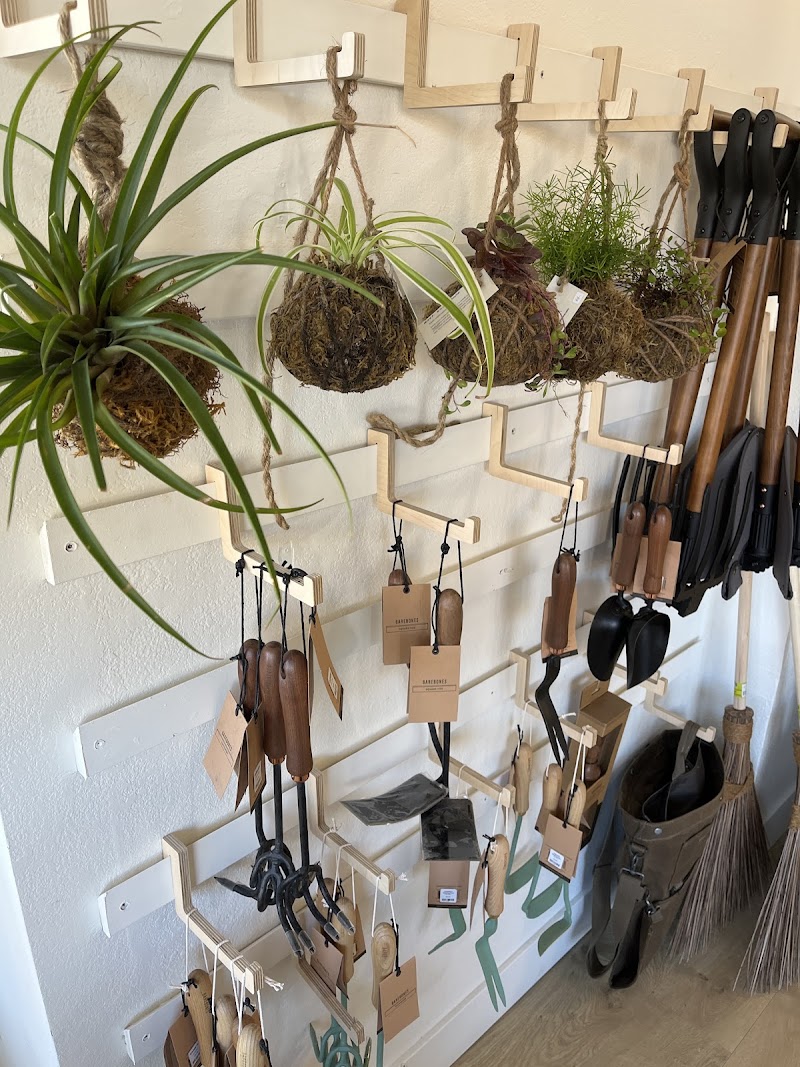 Gather Sebastopol photo 5