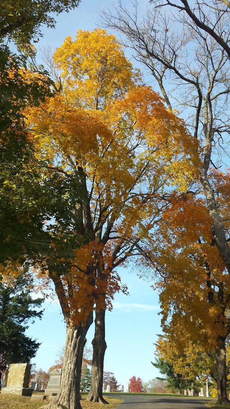 Ridge Park Cemetery photo 2