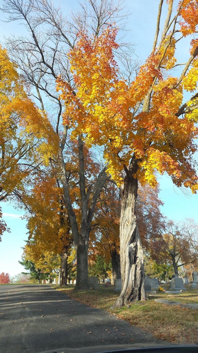 Ridge Park Cemetery photo 4