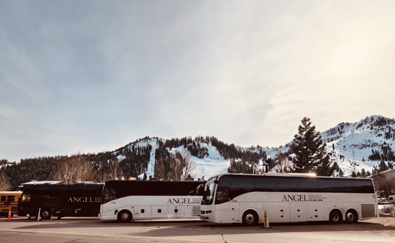 Photo of Angel Limo Worldwide Transportation | Luxury Limousine Transportation Service in Hayward, California, USA
