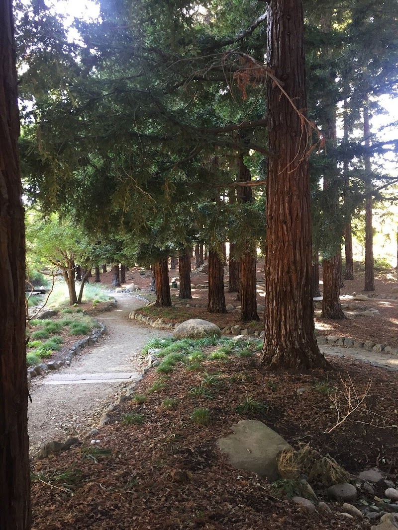 Photo of Jack Hume Grove