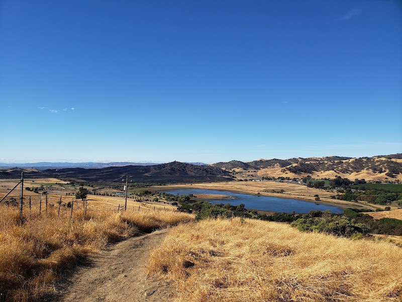 Jack Hume Grove photo 4