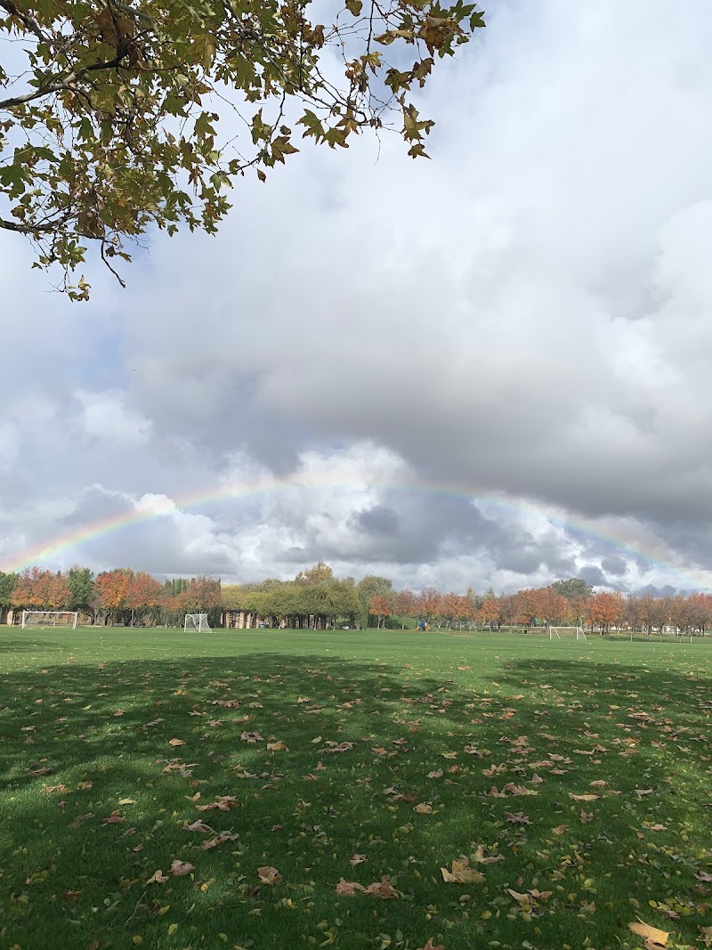 Soccer Field 3 photo 3