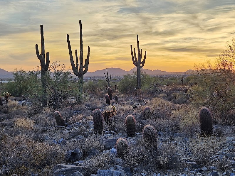 Photo of Gateway Trailhead - McDowell Sonoran Preserve