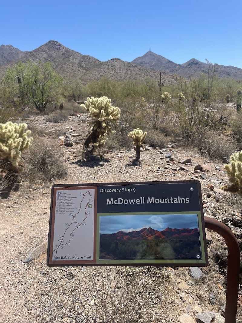 Gateway Trailhead - McDowell Sonoran Preserve photo 3