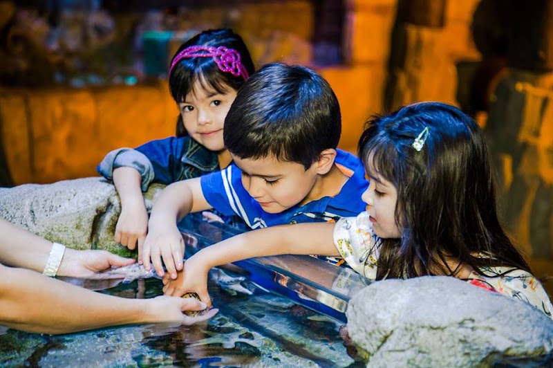Photo of SEA LIFE Arizona Aquarium