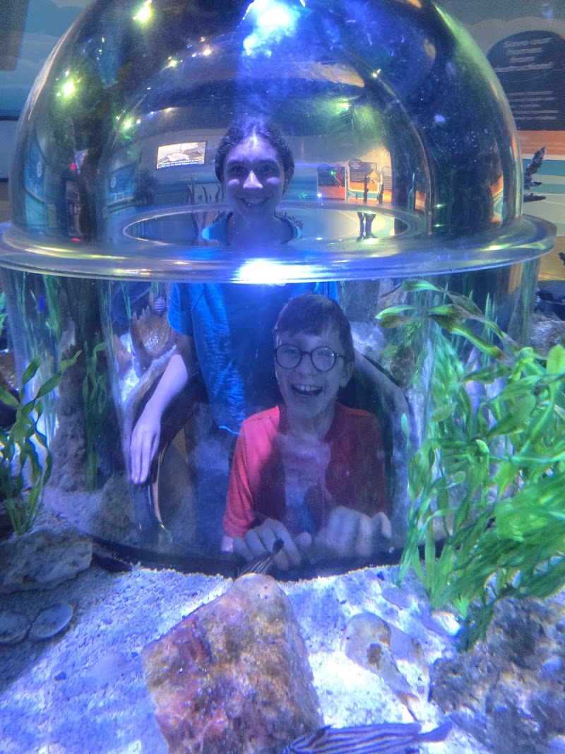 SEA LIFE Arizona Aquarium photo 5