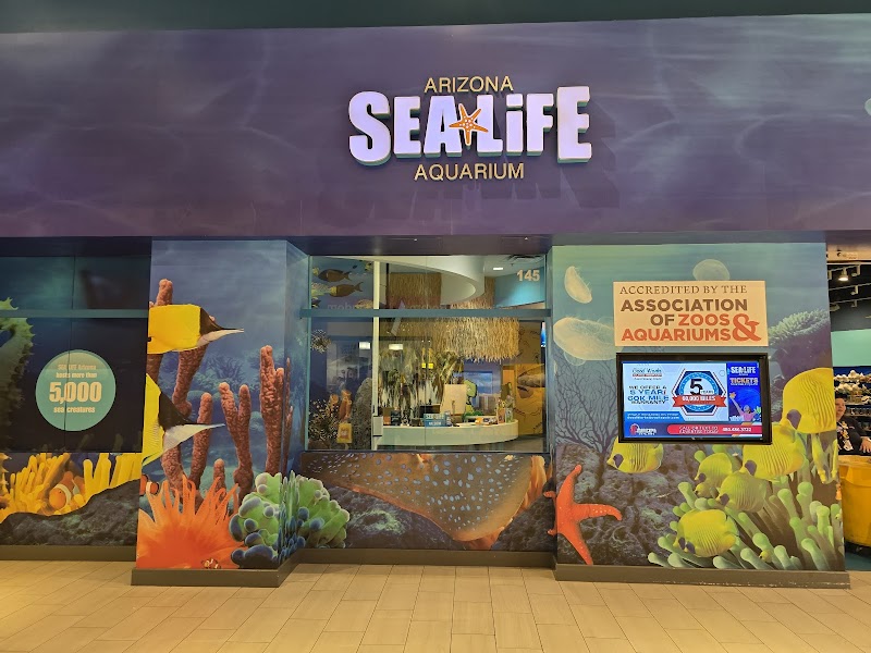 SEA LIFE Arizona Aquarium photo 4