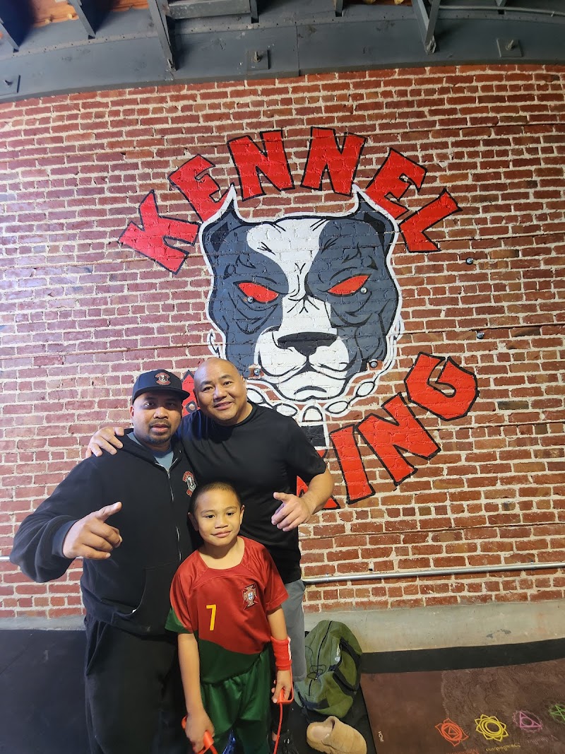 The Kennel Boxing Gym photo 2