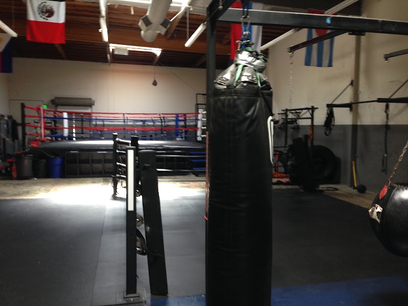 The Kennel Boxing Gym photo 5