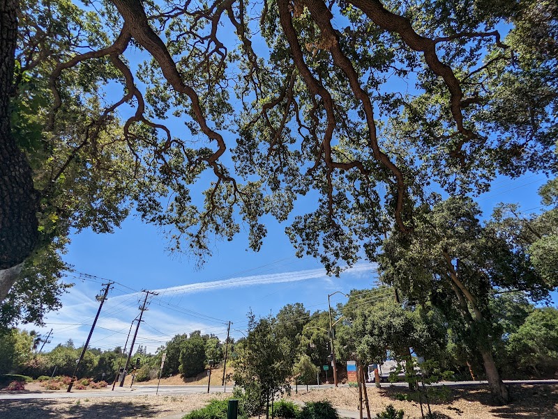Friendship Park photo 2