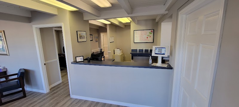 Palm Harbor Chiropractic photo 4