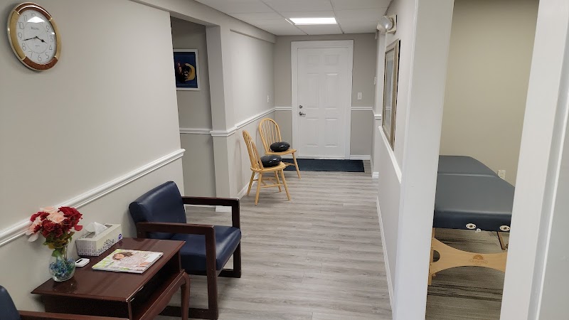 Palm Harbor Chiropractic photo 3
