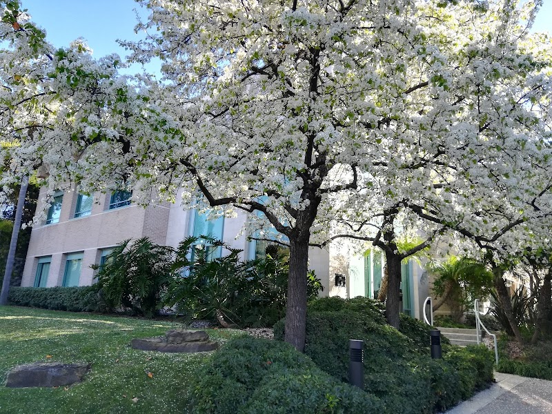 Del Mar Union School District photo 2