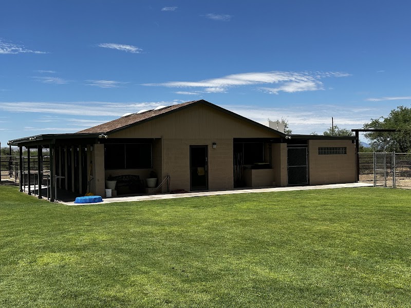 Irondog's Cottonwood Kennels photo 2