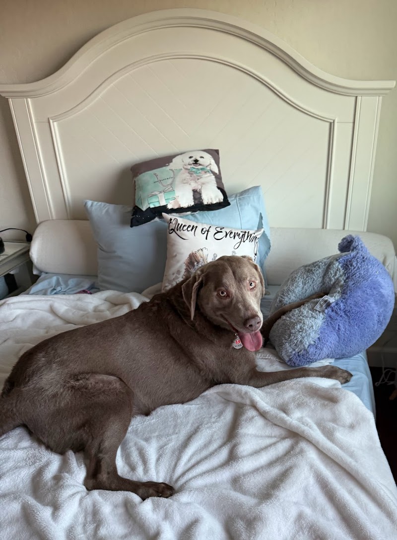 Chateau De Pups photo 2