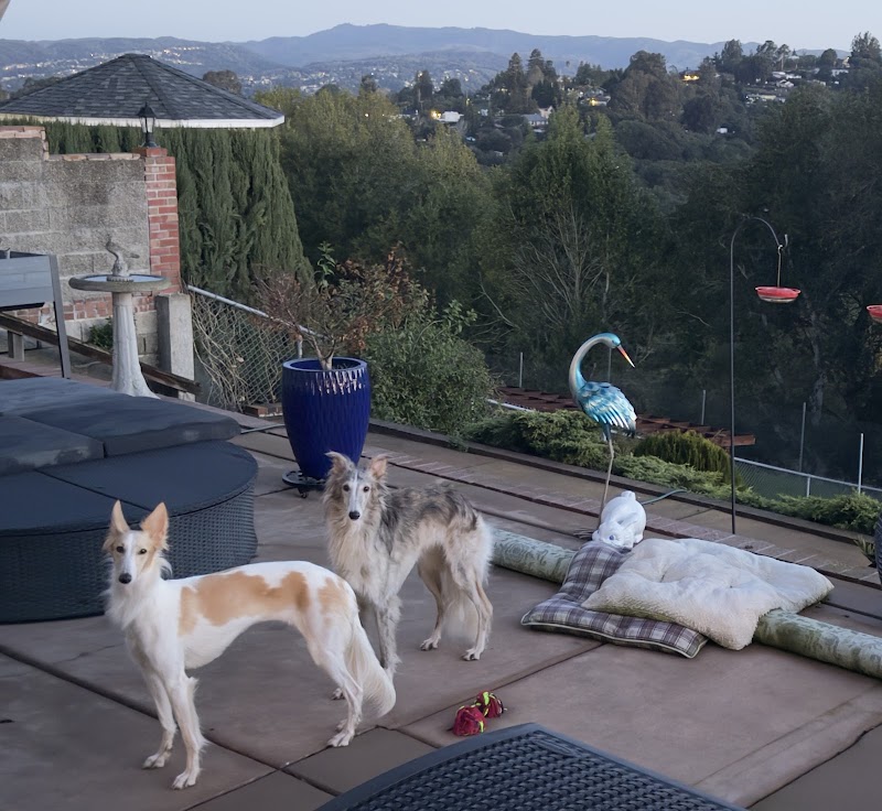 Photo of Chateau De Pups