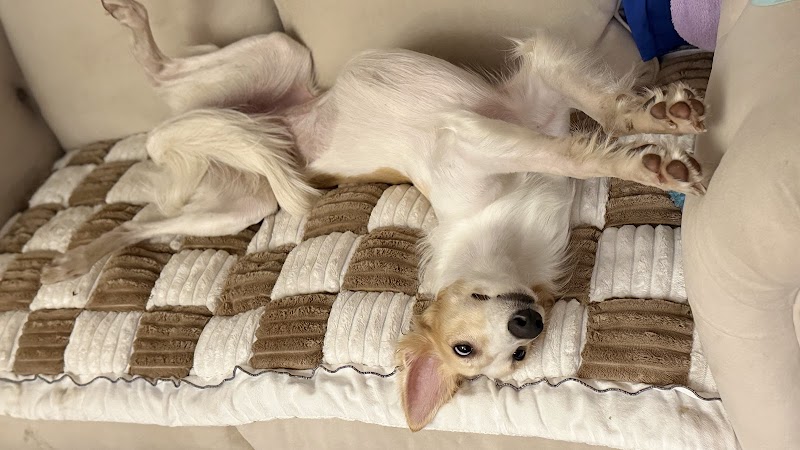 Chateau De Pups photo 5