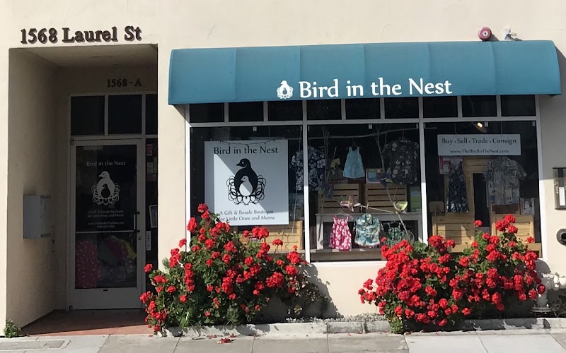 Photo of Bird in the Nest