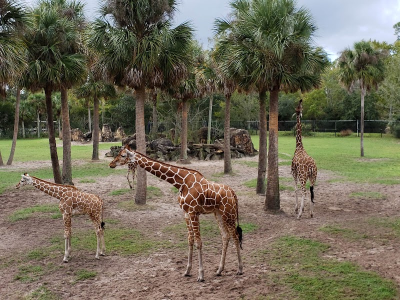 Photo of Jacksonville Zoo and Botanical Gardens
