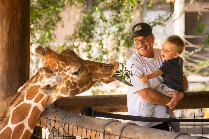 Jacksonville Zoo and Botanical Gardens photo 5
