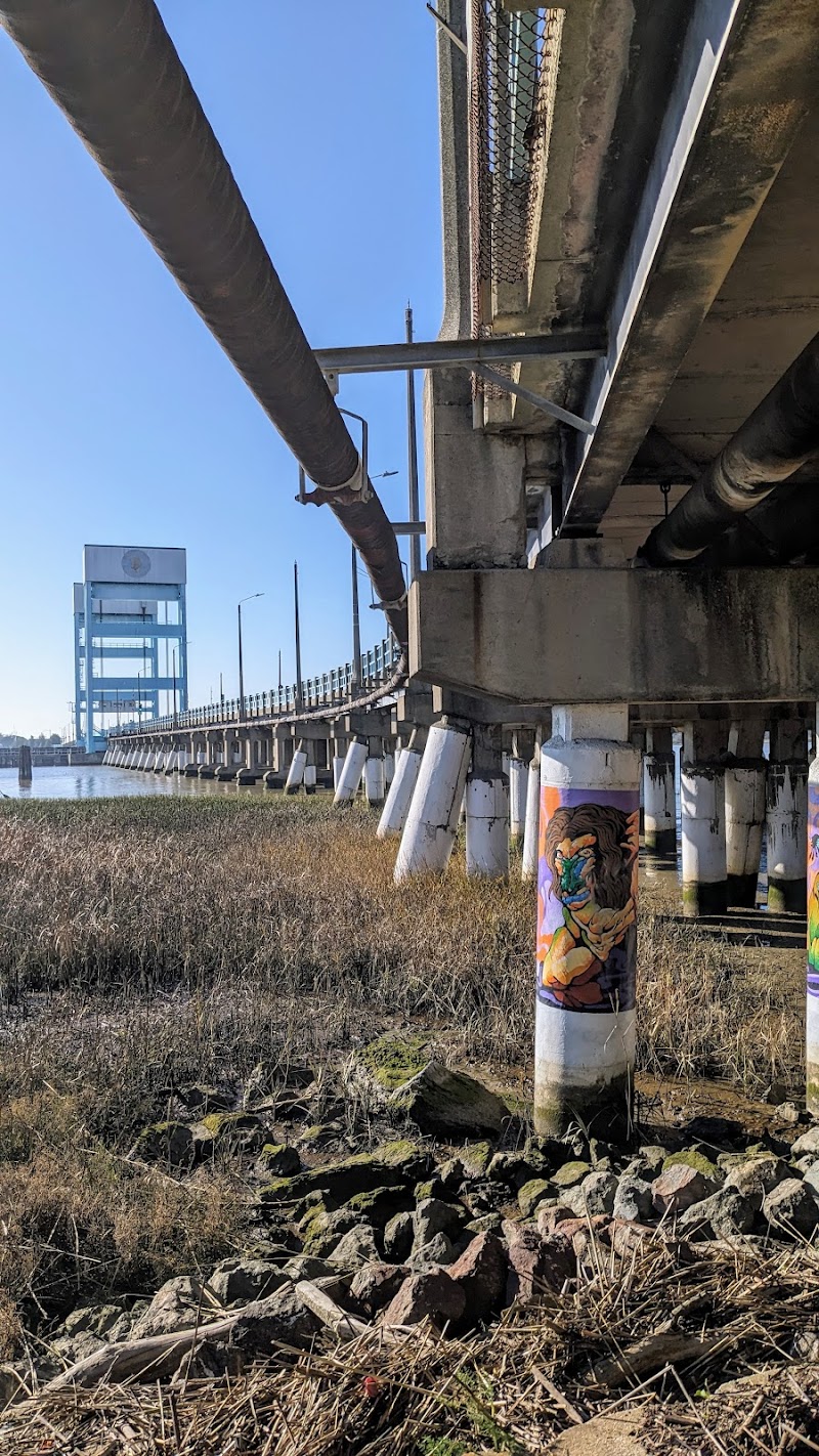 Mare Island Causeway photo 5