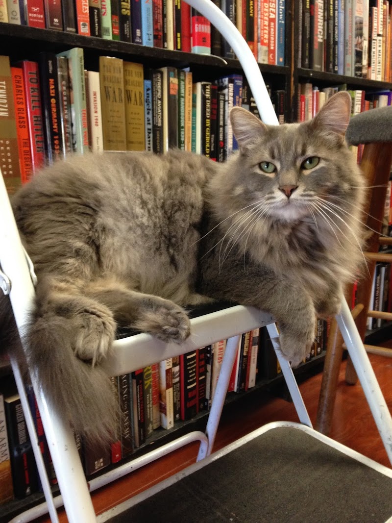 Recycle Bookstore photo 5