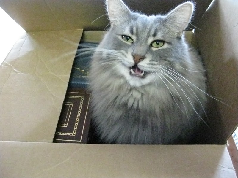Recycle Bookstore photo 2