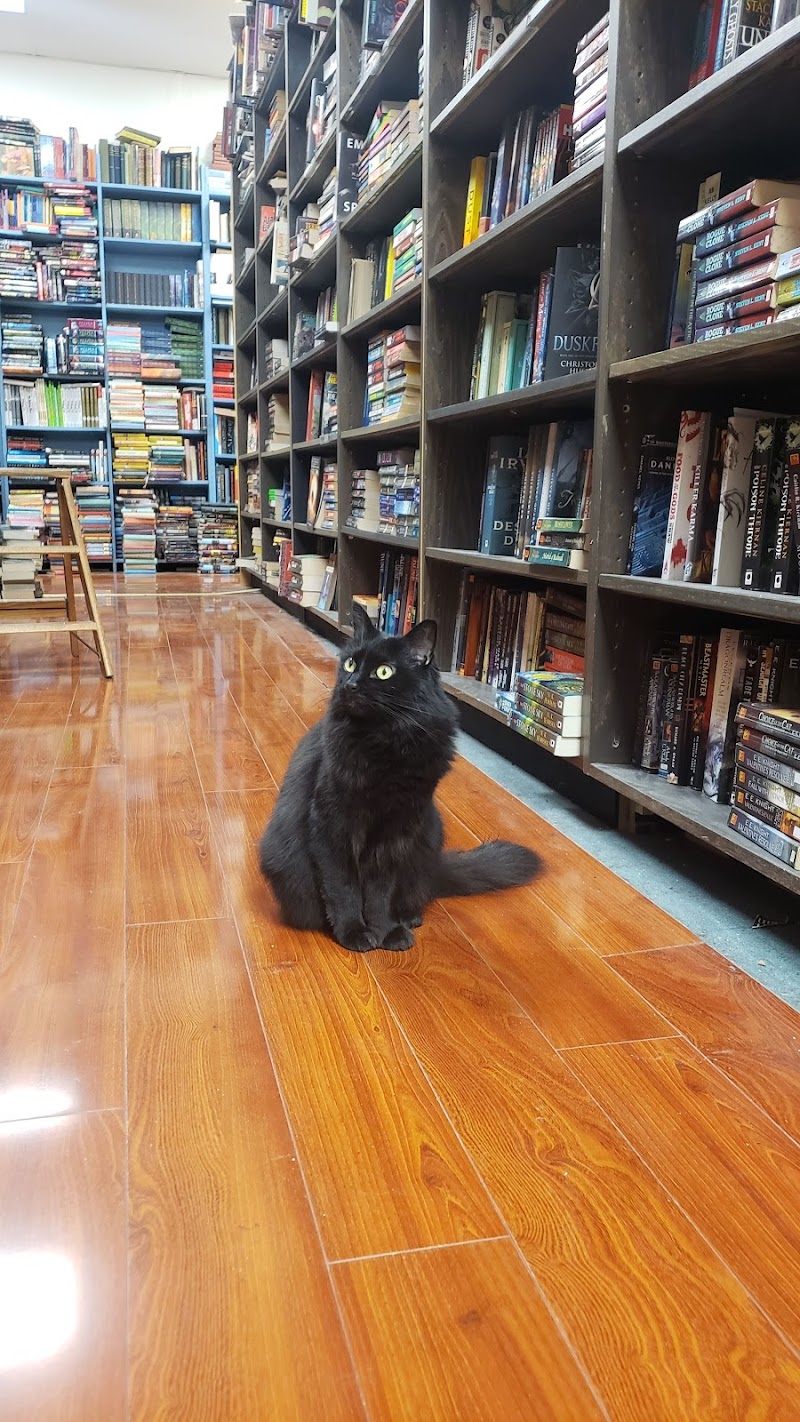 Recycle Bookstore photo 4