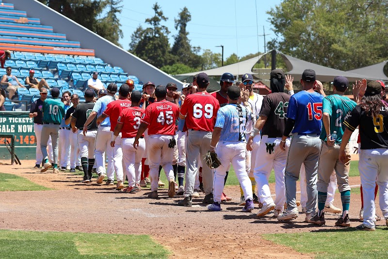 Bay Area Adult Baseball League (SJ NABA) photo 2