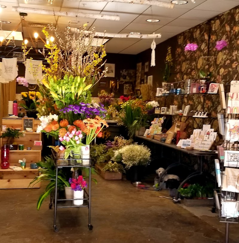 City Bloom, Inc photo 2