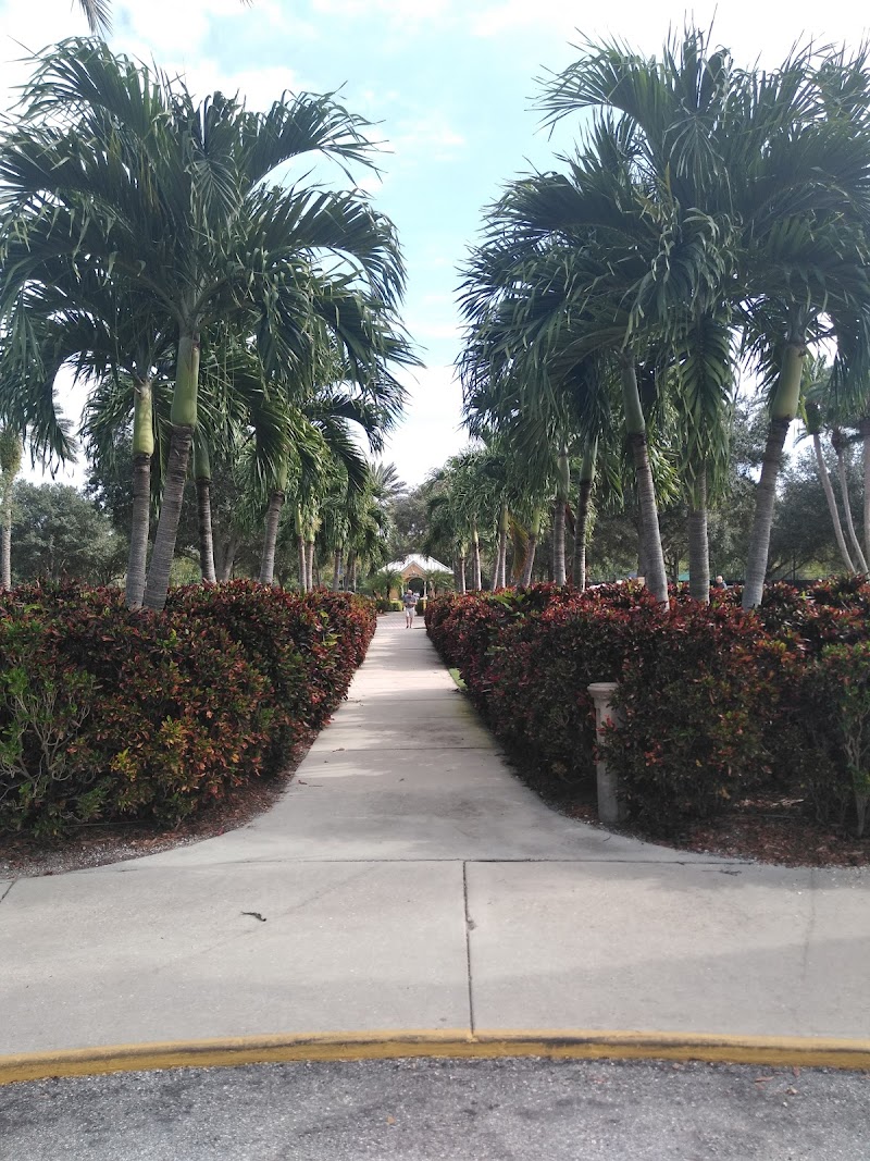 The Mirabay Club photo 4