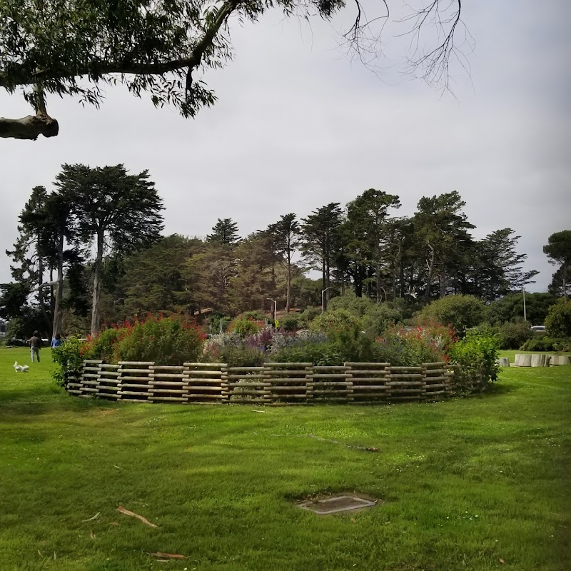 Golden Gate Park Community Garden photo 5